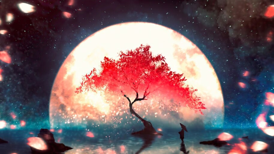 Anime Night Scenery Full Moon Cherry Blossom 4k 43112 Wallpaper