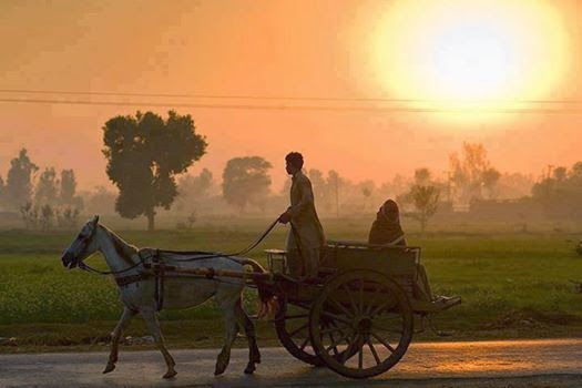 aligarh and deoband movements essay aligarh and deoband movements essay