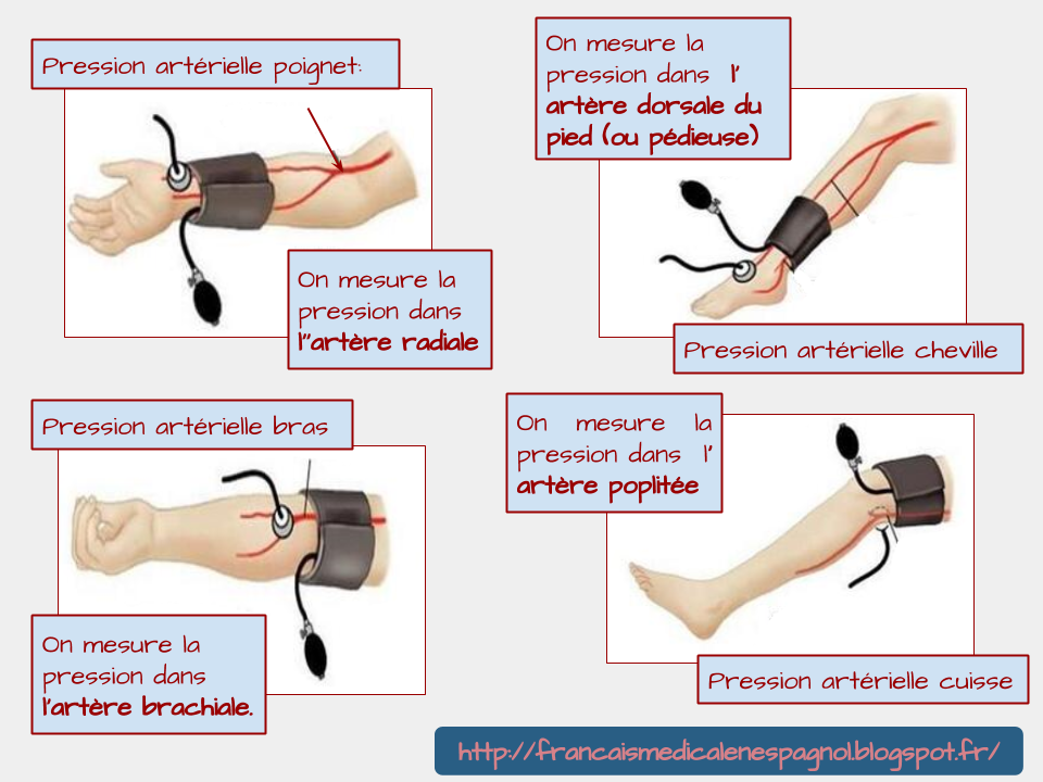 Puntos Anatomicos Para Tomar La Presion Arterial francaismedicalenespagnol.blogspot.com