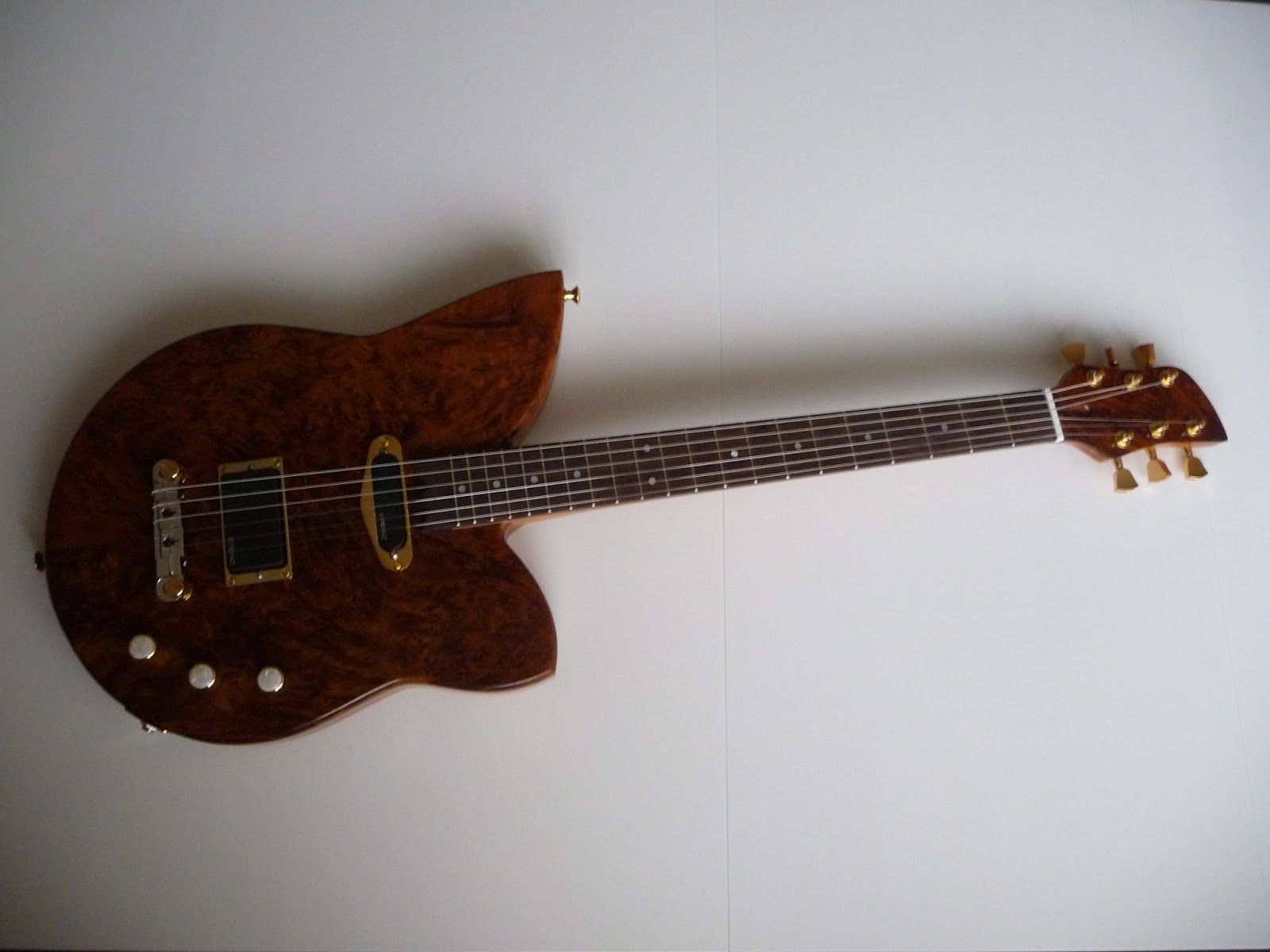 2012+Guitare+tulipe.JPG