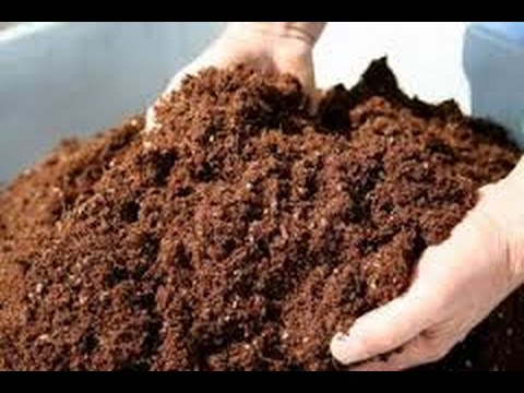 Cara  Praktis Membuat Pupuk Organik/Kompos Sendiri Untuk Tanaman di Rumah