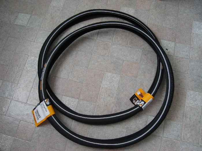 Carolyn's Flight of Fancy New Continental Touring Plus tires