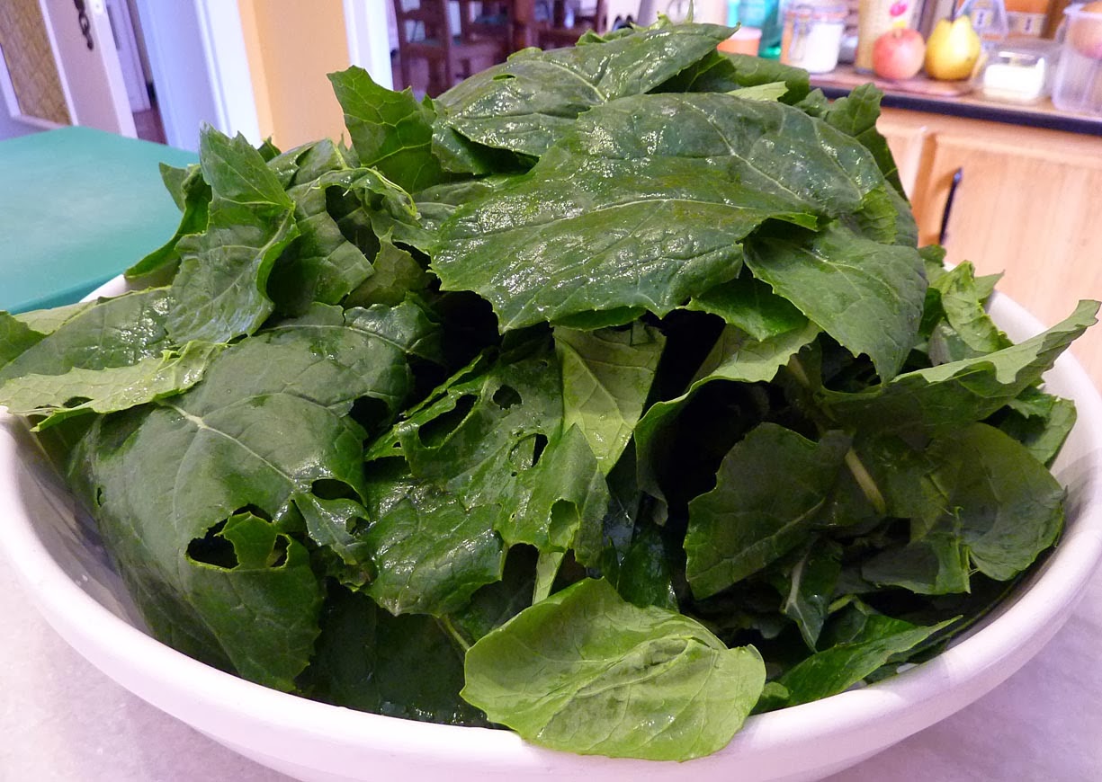 How To Cook Collards Chou Cavalier immeasurably synonym