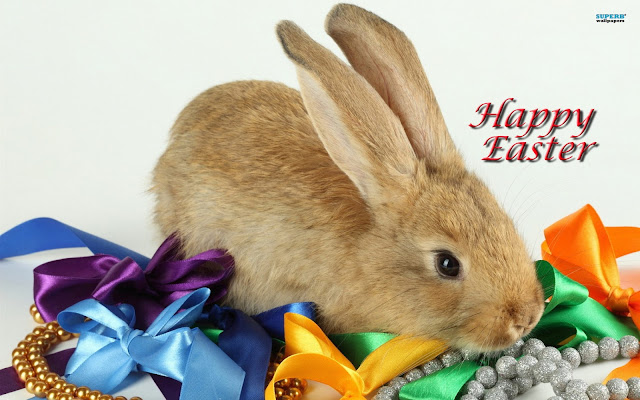 Happy Easter Eggs & Bunny 2017 Best Images Wallpapers Pictures Of Easter Bunny & Eggs Happy Easter Eggs & Bunny 2017 Best Images Wallpapers Pictures Of Easter Bunny & Eggs