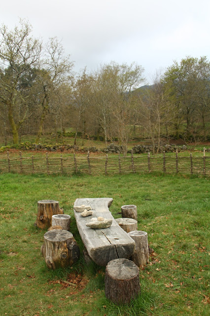 Petroglifos de Campo Lameiro