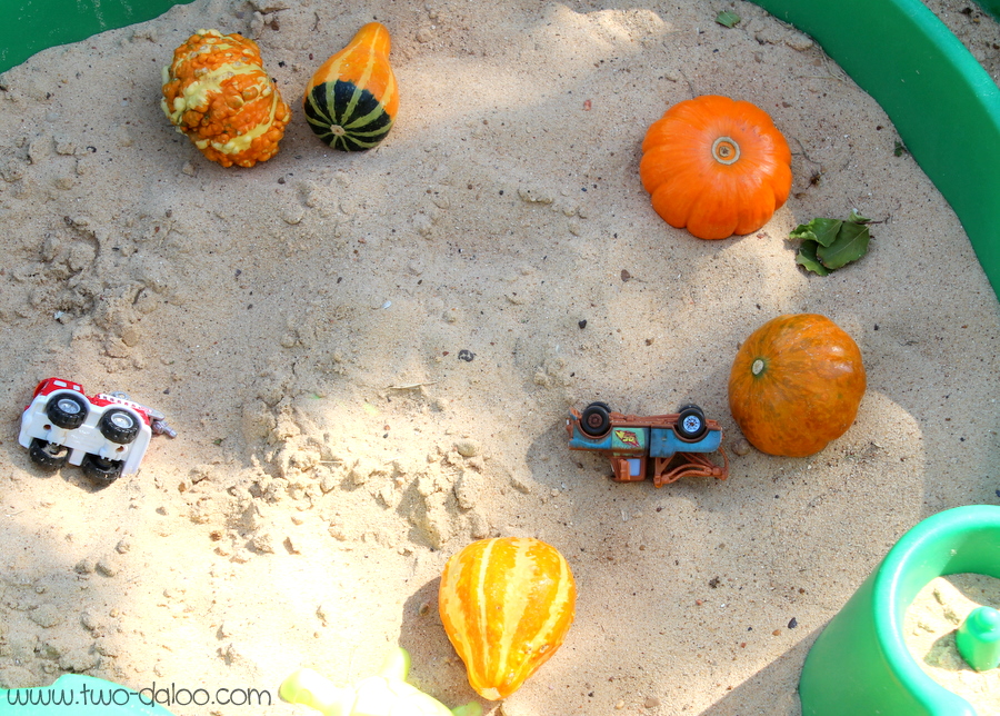 Pumpkins in the sandbox by Two-Daloo Pumpkins in the sandbox by Two-Daloo