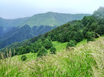 Lagodekhi Protected Areas Friends/ლაგოდეხის დაცული ტერიტორიების მეგობრები