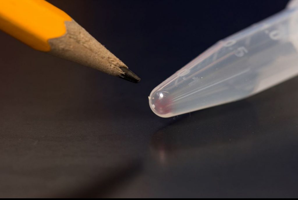 Microsoft Smashes DNA Storage Record