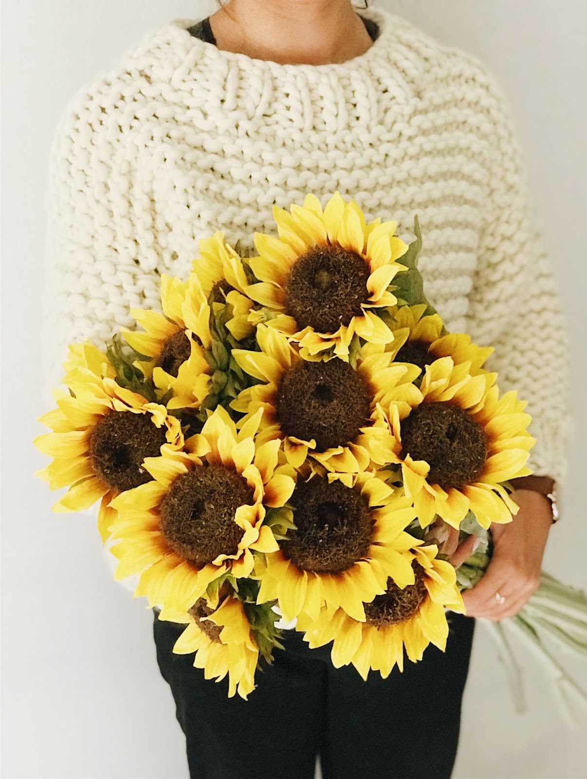 Silk plants direct coupon code Help Shipping & Delivery Returns Track Orders Size Charts Cont Expect More. Pay Less. · Same Day Store Pick-Up · Free Returns · Everyday Savings1,,+ followers on Twitter.