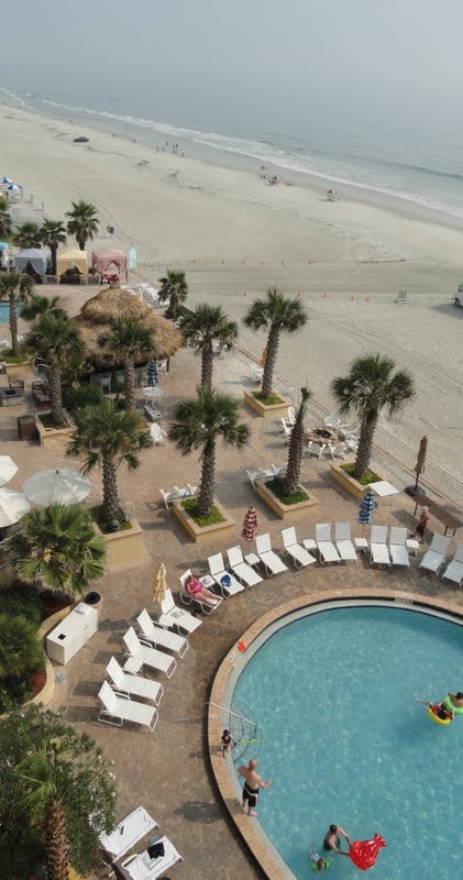 the shores resort