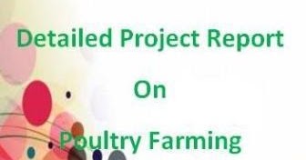 Essay on poultry farming image