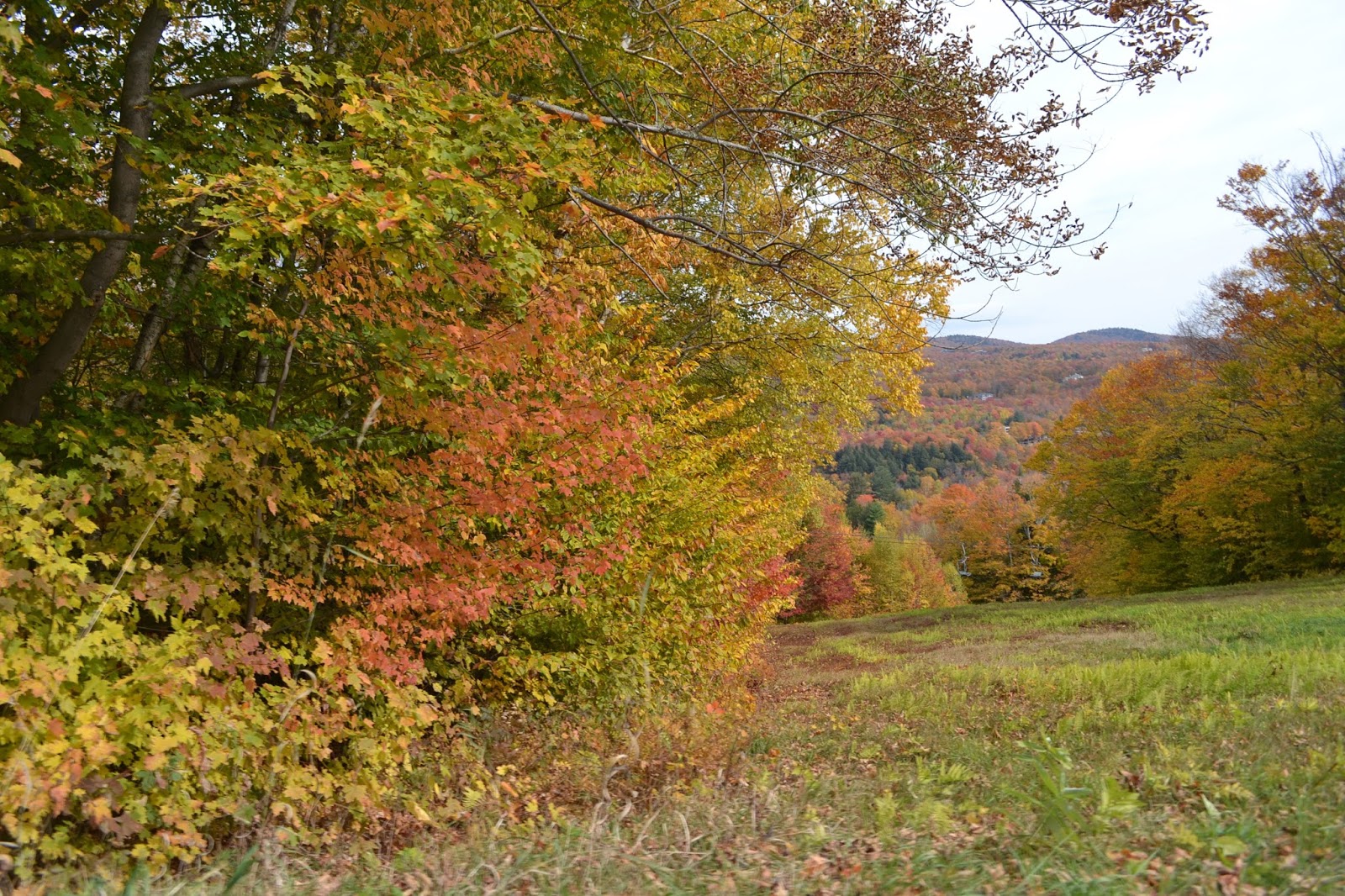 DSC_0290.jpg