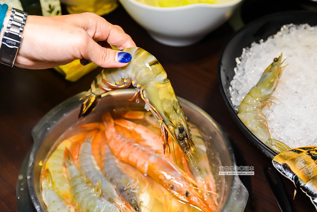 板橋美食,府中站美食,板橋火鍋,龍蝦火鍋,化饈火鍋