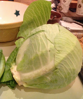 Gorgeous winter cabbage