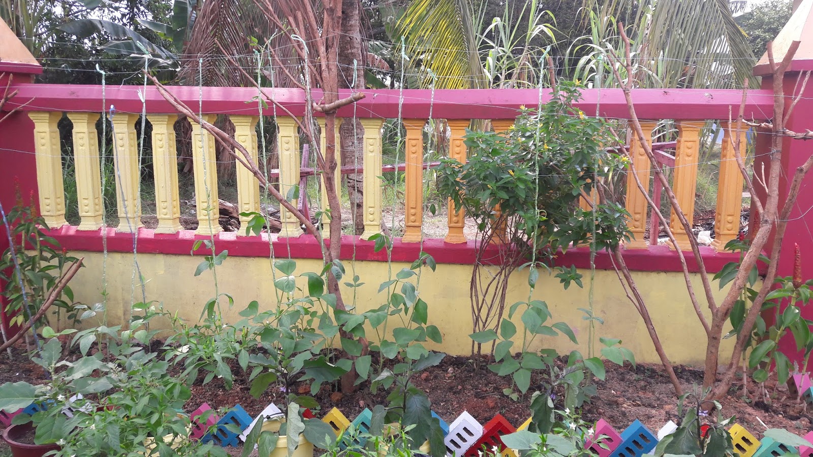 Tabika Kemas Taman Putri Pertandingan Kebun Dapur Pertandingan Kebun Dapur