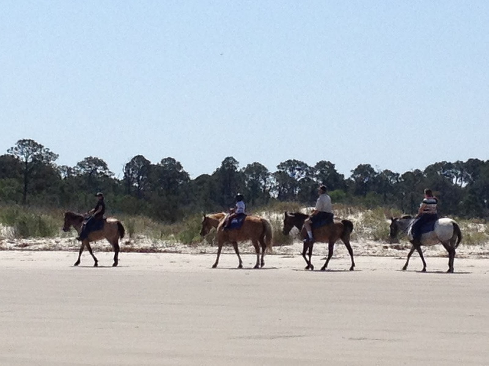 Life on the Coast as a Realtor Jekyll Island Horseback Riding