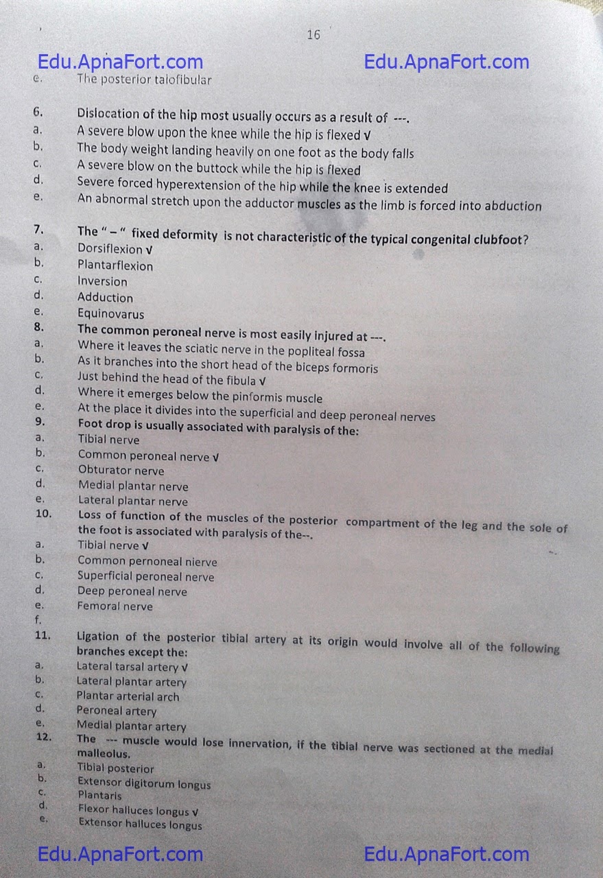 Educational Blog Anatomy MCQs 1st Year MBBS educational-blog-anatomy-mcqs-1st-year-mbbs