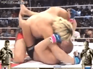 2.gif