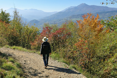 The easy hiking trail on Italy's Pietra di Bismantova in October. The easy hiking trail on Italy's Pietra di Bismantova in October.