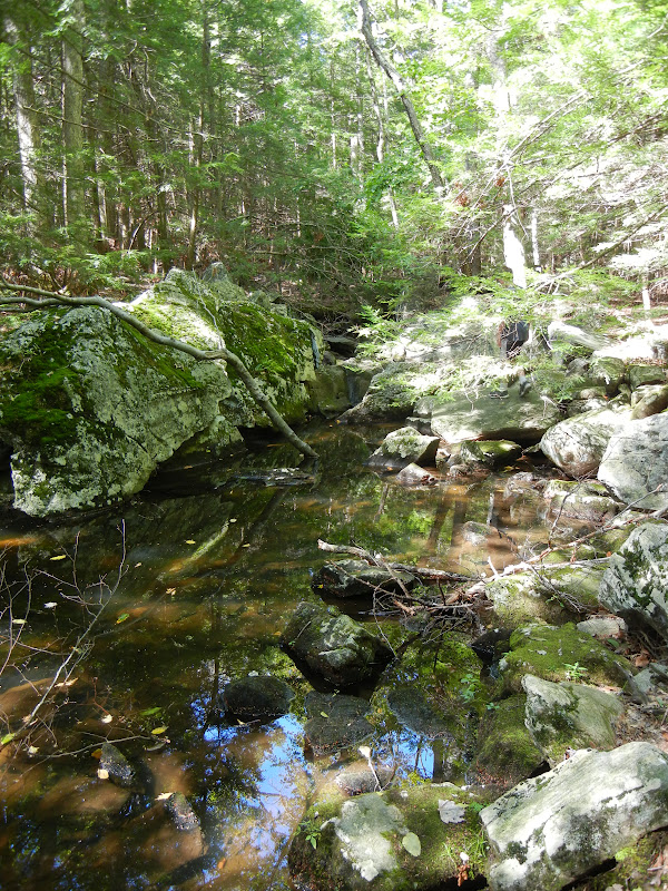 Farmington Valley Homeschool Hikers Canton Roaring Brook Nature Center