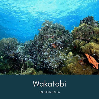 Presiden Joko Widodo :Pariwisata dunia memberi kontribusi 9,8 persen terhadap