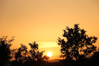 Stunning golden sunset to end the day Stunning golden sunset to end the day