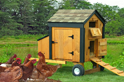 chicken coop coops backyard plans runs hen amish built wheels portable sheds houses run build lancaster pa cool prweb chickens