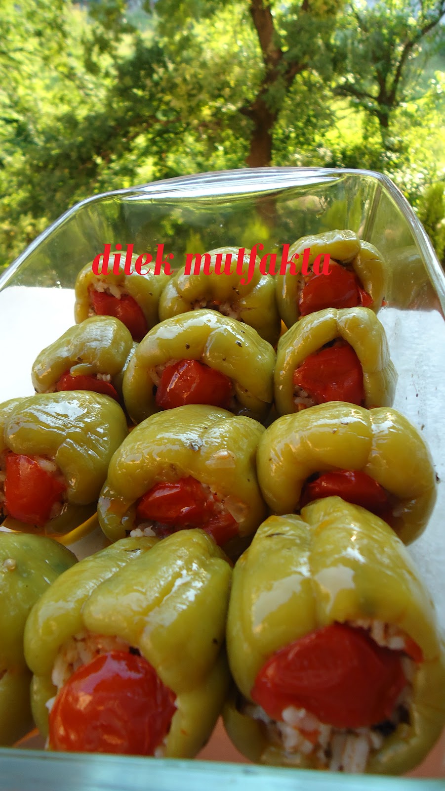 ZEYTİNYAĞLI BİBER DOLMASI