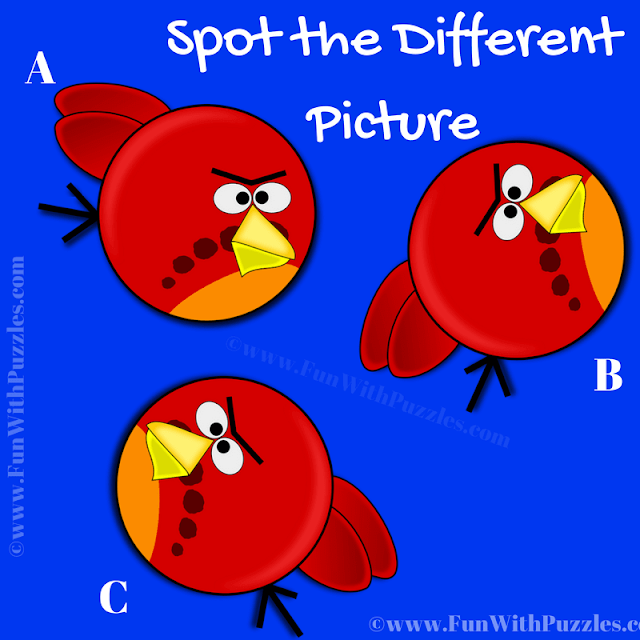 In this Visual Puzzle there are three Angry Bird's pictures. Your challenge is to find the puzzle image which is different from other two pictures.