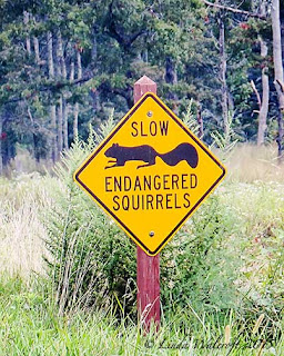 sign
