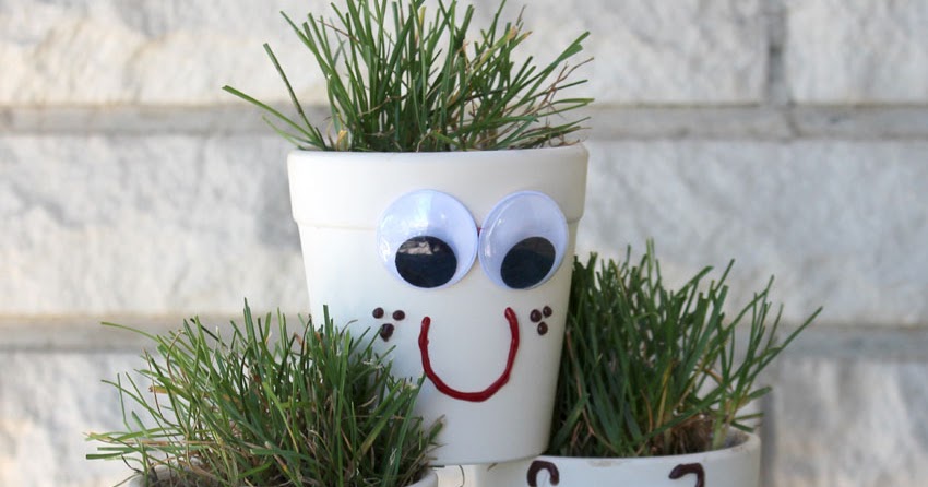 Grass Head Planter Bonsai Herbe cheveux Plant Football thème Set for Kids Enfants 