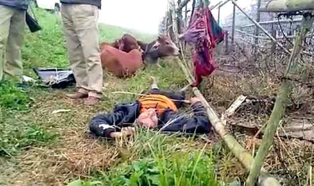 BSF did not return body of Bangladeshi youth killed in Thakurgaon ঠাকুরগাঁওয়ে নিহত বাংলাদেশী যুবকের লাশ ফেরত দেয়নি বিএসএফ