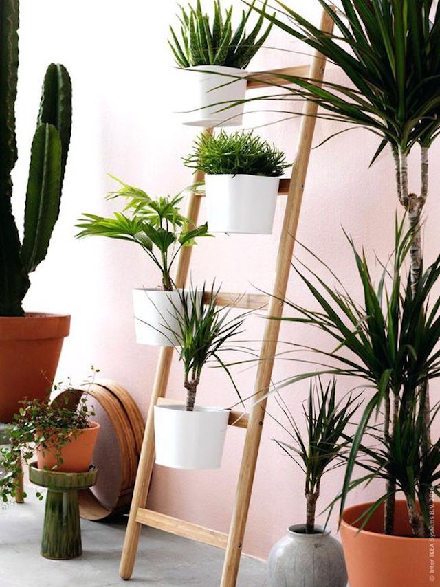 La serie Satsumas de Ikea Ana Ruiz