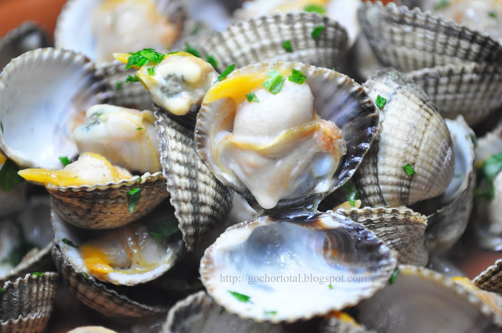 GOCHORTOTAL BERBERECHOS A LA PLANCHA CON AJO Y PEREJIL