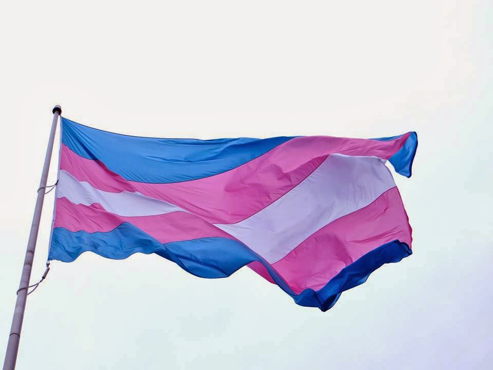 Mãe que internou filha trans é proibida de se aproximar dela pela Lei Maria da Penha Mãe que internou filha trans é proibida de se aproximar dela pela Lei Maria da Penha