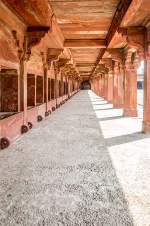 Camel Stable Camel Stable