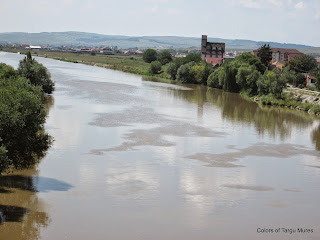 Mures river