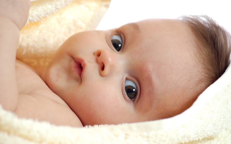 Info Bayi Lucu Banget, Kreasi Anak