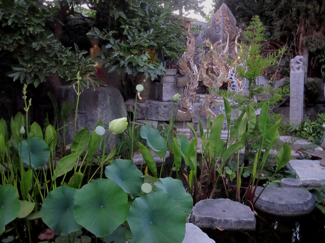 paradis express Cevan Forristt