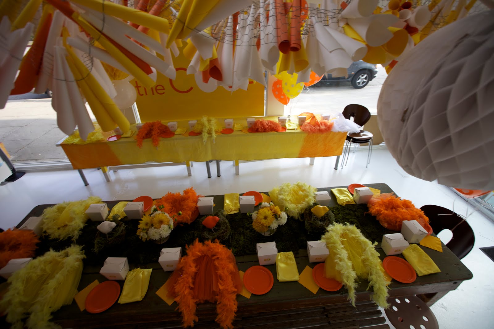 the COOP COOP Theme Party