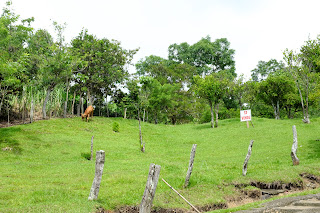 Puriscal Real Estate Puriscal Real Estate