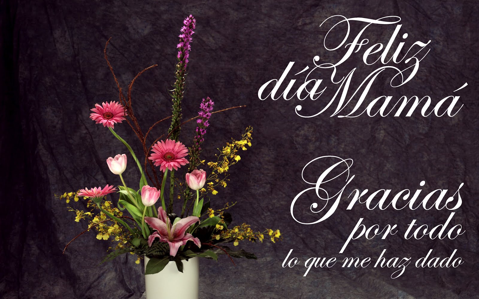 Banco de Imágenes Gratis: ¡Feliz Día de las Madres! (Recopilación