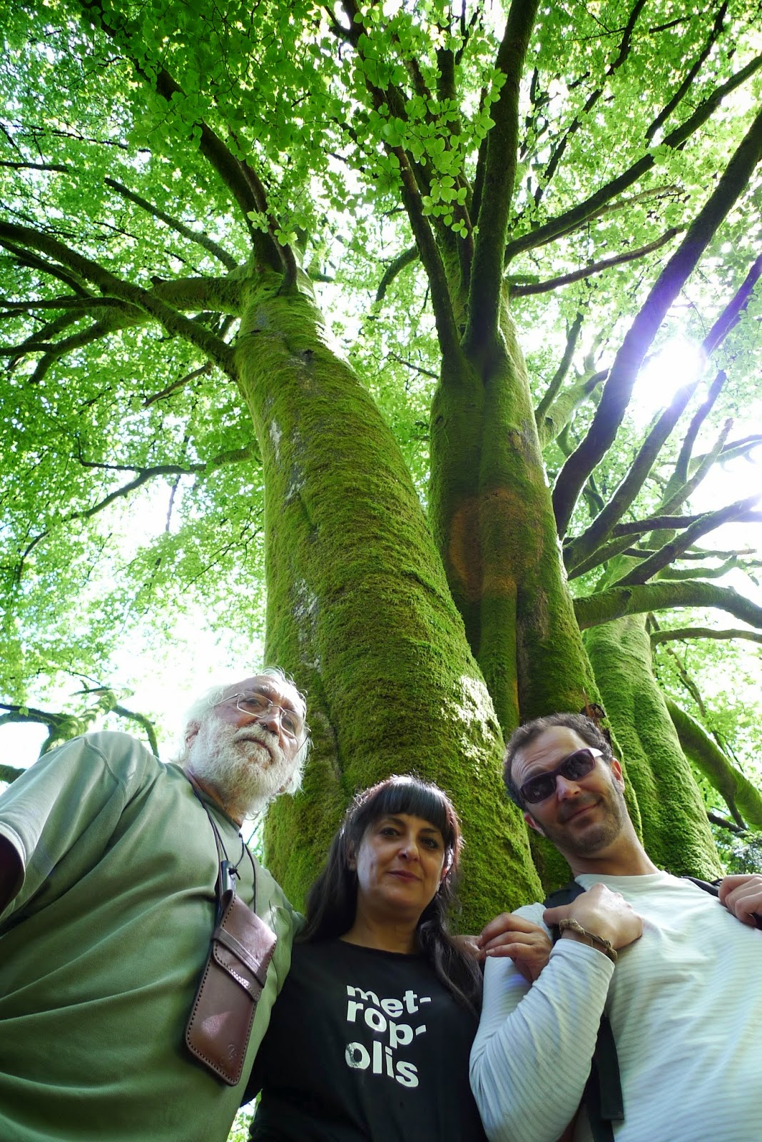 La memoria del bosque EL BOSQUE HABITADO PARA ESCUCHAR LAS VOCES DEL