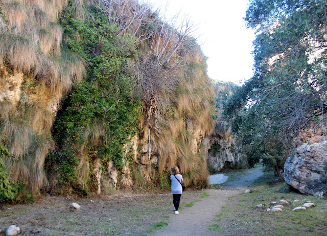 Acequia del Toril