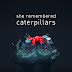 She Remembered Caterpillars - PLAZA