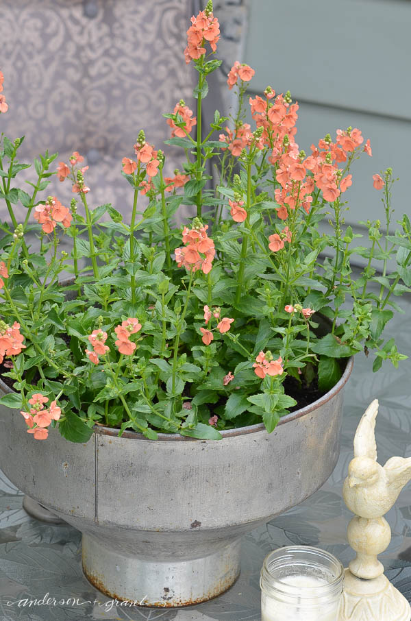Repurposed DIY Flower Pot and a Garden Tour | anderson + grant