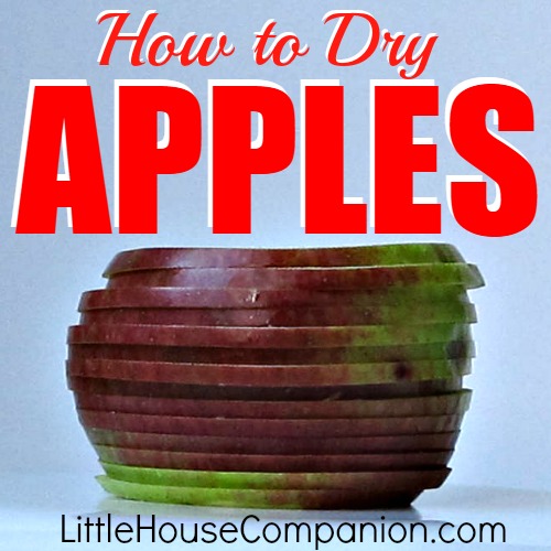 How to dry apples. #recipe #apple