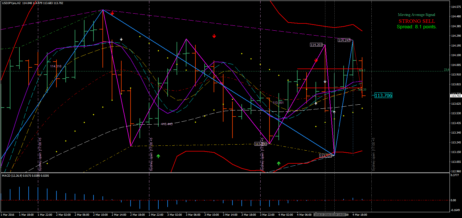 Paradox system forex