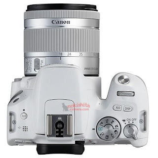 Canon EOS 200D белого цвета