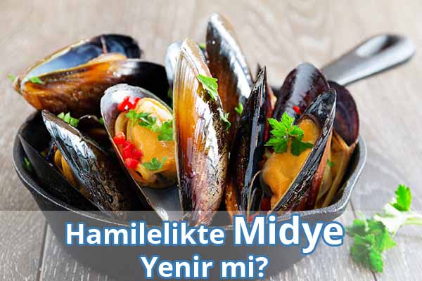 Hamilelikte (Gebelikte) Midye Yenir mi? Hamilelikte (Gebelikte) Midye Yenir mi?